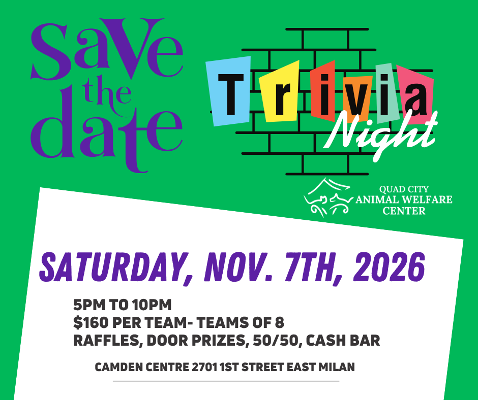 Trivia night save the date facebook post 3